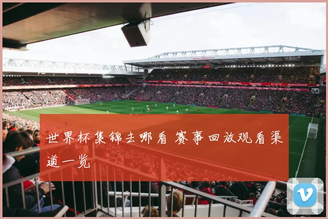 世界杯集锦去哪看 赛事回放观看渠道一览