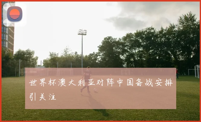 世界杯澳大利亚对阵中国备战安排引关注