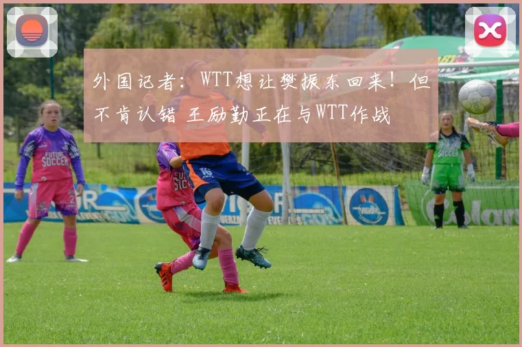 外国记者：WTT想让樊振东回来！但不肯认错 王励勤正在与WTT作战