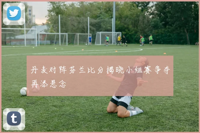 丹麦对阵芬兰比分揭晓小组赛争夺再添悬念