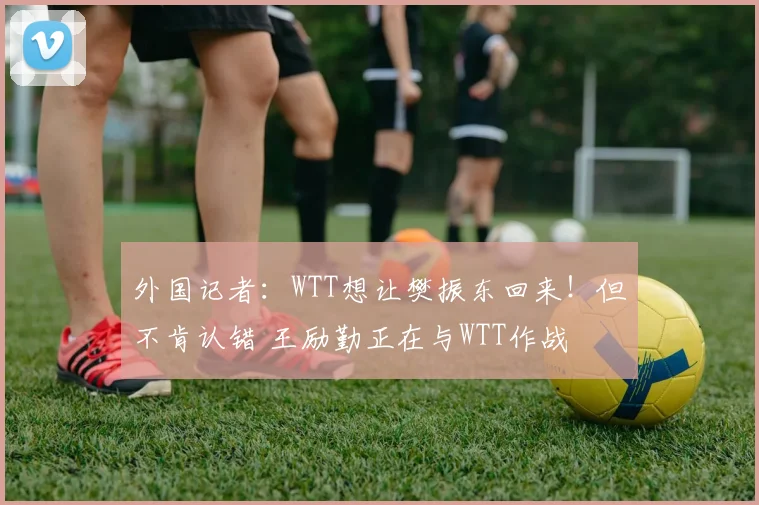 外国记者:WTT想让樊振东回来!但不肯认错 王励勤正在与WTT作战