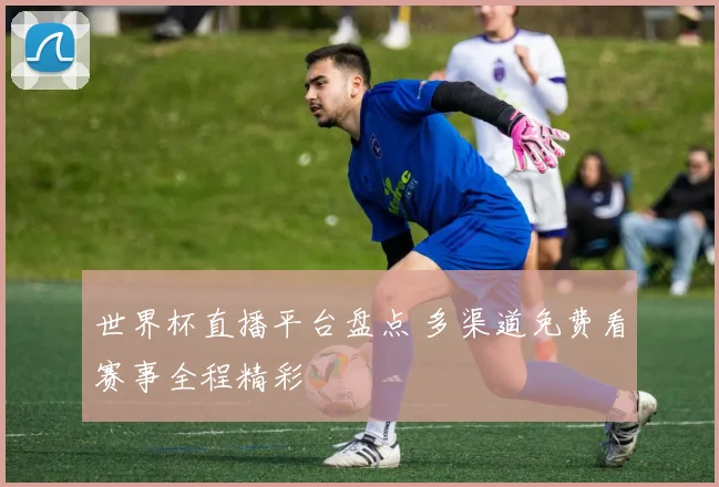 世界杯直播平台盘点 多渠道免费看赛事全程精彩