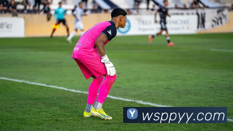 数据防护可视化